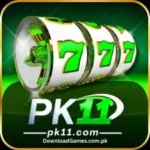 PK11 Game
